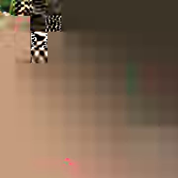 Canker is a tree bark disease with necrotic areas. It occurs due to pathogenic fungi that penetrate through bark cracks or mechanical and natural injuries (e.g., man-made wounds, frost cracks, fire burns, and sunscalds). Healthy trees cope with the infestation, yet weakened ones cannot resist it. ​ Symptoms of canker disease include discoloured or dead areas on leaves and branches, wilting, and premature leaf drop. In severe cases, canker disease can cause branch dieback or even death of the ent