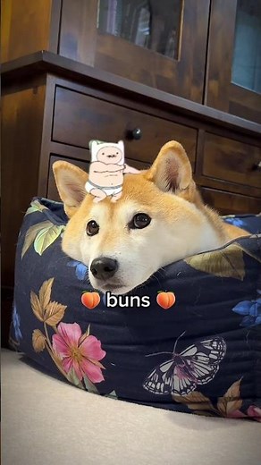 I’m a buff baby that can dance like a man #adventuretime #dog #doge