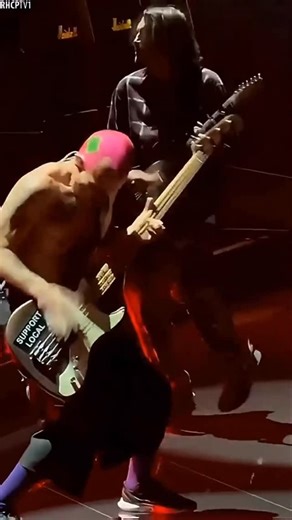 The Partae on Instagram: "Flea being Flea! @flea333 #flea #rhcp"