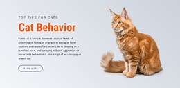 Cat behavior - CSS Template by Nicepage