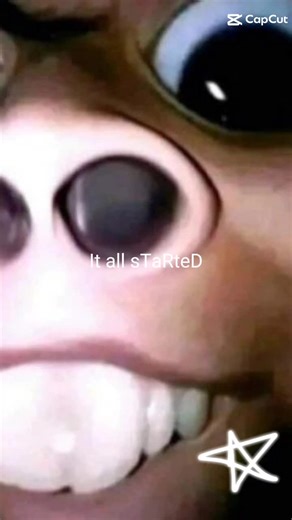 goofy grape (@goofygrape36)’s videos with original sound - Macie🤸‍♂️🌺🎀🌈