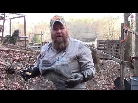 Working Deer Hides PT.2 Hair Removal