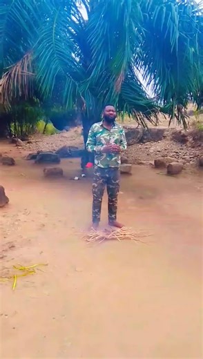 apôtre fiston abia prophète (@fabro243)’s videos with son original - ARGIO MÉDIA