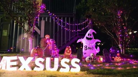 JMEXSUSS Connectable 100 LED Purple Christmas Lights Indoor, 8 Modes Plug in Purple String Lights Clear Wire, 33ft Christmas Tree Light Outdoor for Xmas Tree, Garden, Bedroom