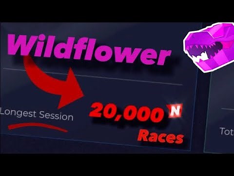 What is the longest NITRO TYPE SESSION EVER DONE? 🤔 and how they did it…