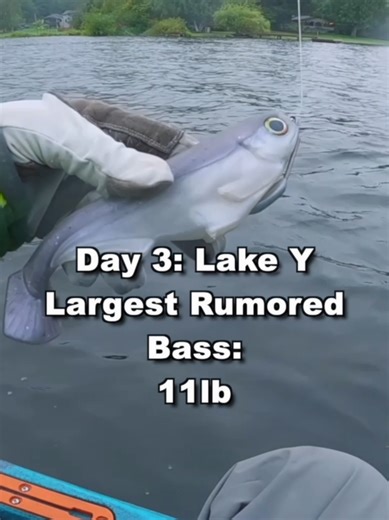 Chasing a 10-Pound Bass: A Fishing Adventure