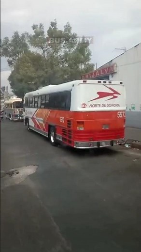Autobuses del recuerdo #bus #buses #autobuses #reels #clasicos #retro #shortvideo #autobus #méxico