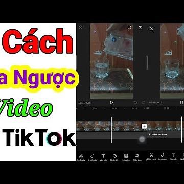 Cách tua ngược video tiktok cực dễ | tua nhanh, tua chậm, tua ngược video tiktok trên điện thoại