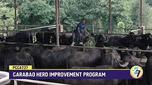 6.1K views · 241 reactions | PCC Executive Director Dr. Arnel N. Del Barrio addresses today the agency’s partners and stakeholders on the occasion of its 27th anniversary. #PCCat27 #ValueInnovations #NewThinking | DA-Philippine Carabao Center | Facebook