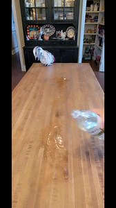 I only use food grade cleaners and polishers on my butcher block island. Vinegar & Oil. Or I could be making a salad dressing😄😊 | Amy’s Louisiana Kitchen