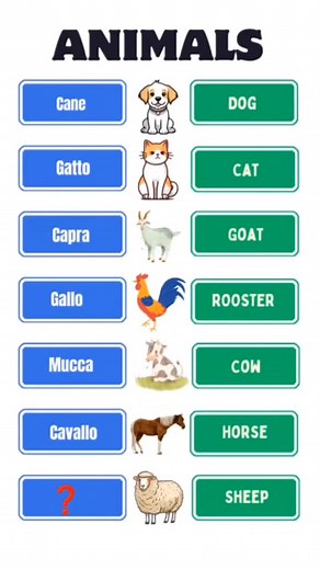 Learn animals in Italian. Animal vocabulary in Italian. #italianwithkati | Italianwithkati