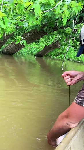 It’s finally fishin weather! #indiana #redneck #fishing #catfish #bluegill #trotline #limbline #TheChallengeAllStars #DSWCutLoose #fyp
