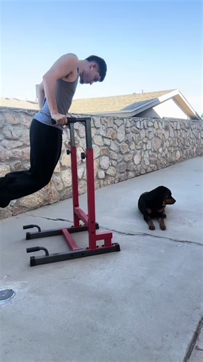 Enhance Your Fitness with Dip Stand Workouts