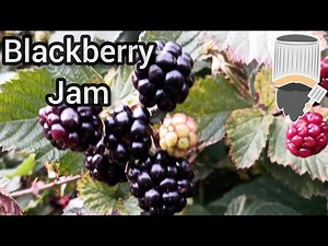 How to Make Homemade blackberry jam (super easy recipe)