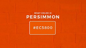 What Color Is Persimmon? About Persimmon Color