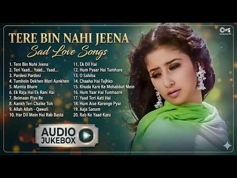 Tere Bin Nahi Jeena - Sad Love Songs Audio Jukebox | Hindi Dard Bhare Gaane | 90s Hits Hindi Songs