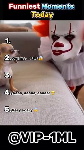 Best Moments of Today 🔥