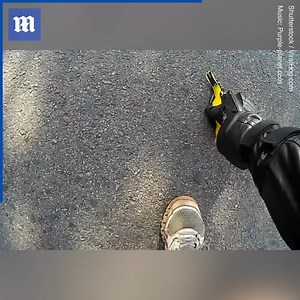 45K views · 386 reactions | This bird is very lucky this biker rode by! ❤️ Via Shutterstock | Daily Mail Video | Facebook