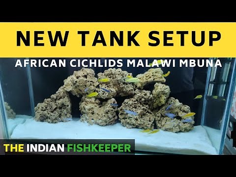 Malawi Cichlid Tank Setup TImelapse | Mbuna