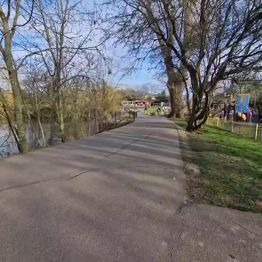 Effective Rat Catching Techniques in UK Parks