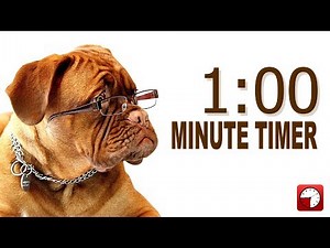 1 Minute Timer for PowerPoint and School - Alarm Sounds with Dog Bark