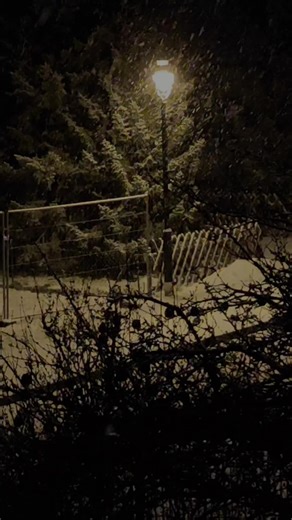 Embrace Winter: Snowfall and Peaceful Moments