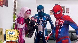 Spider Team Captured by Joker in Their Own House! | Team SpiderMan TV