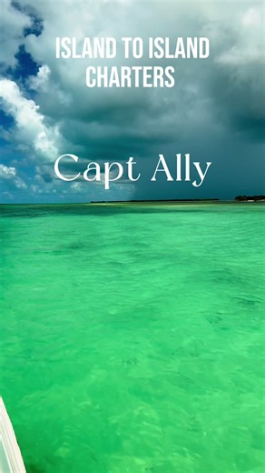 From secluded sandbars and shelling, to wildlife spotting, snorkeling, fishing, and learning about the incredible ecosystems of the Florida Keys—every trip is tailored, personal, and crowd-free. We slow it down, explore deeper, and connect you with nature in a meaningful way. If you want more than just a boat ride, this is it. #IslandToIslandCharters #KeyWestSandbar #KeyWestEcoTours #NoCrowdsJustNature #KeyWestWildlife