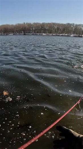 Exploring Ocean Treasures: Unboxing Mysterious Finds