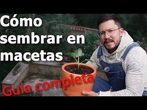 Your vegetable garden in pots: MASTER CLASS - URBAN GARDENING