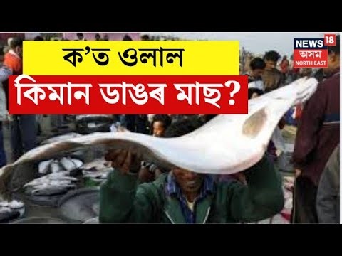 Live : Uruka Fish Market| সোৱাদলগা মাছেৰে ভৰিছে ৰাজ্যৰ বজাৰ| পুৱতি নিশাৰে পৰা মাছৰ বজাৰত ভিৰ অসমীয়াৰ