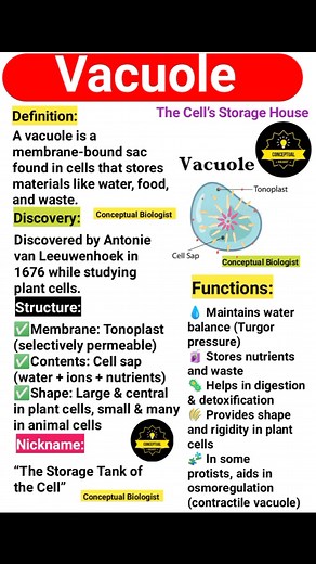 Vacuole 🔥 #biology #ScienceExplained | Conceptual Biologist