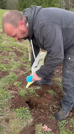 Easy way to get rid of a gopher | lawn or hay field. #shorts #diy #home #gopher ￼