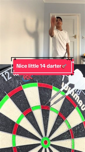 Achieving a 14 Darter in Darts