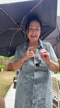 This Tiny Purse Umbrella is GENIUS ☔✨ | Amazon Travel Find