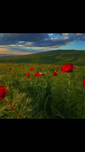 Ab Mujhko Jaana Hai Kahaan 💫 | Soch Na Sake ❤️ | #lyrics #shorts #trending