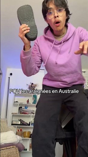 POV les araignées en France
