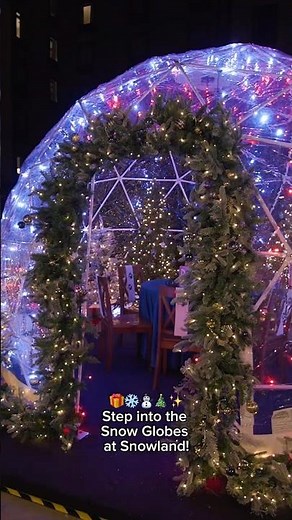 Snow Globe Experience At Great Wolf Lodge