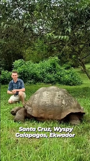 Santa Cruz, Wyspy Galapagos, Ekwador.