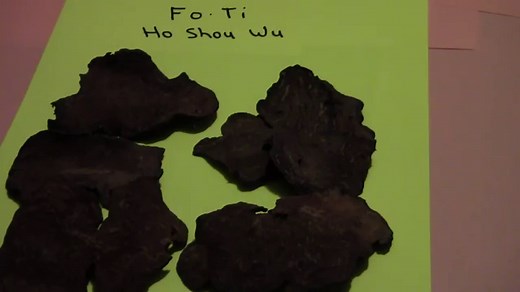 Chinese Knotweed (Fo-Ti) – Health Benefits and Side Effects