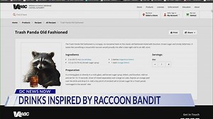Virginia ABC creates raccoon-inspired cocktails