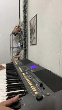 Sitapi tola cover keyboard