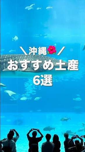 沖縄に30回訪れた私がおすすめする沖縄土産6選🌺#shorts #沖縄 #沖縄旅行 #沖縄土産 #沖縄グルメ