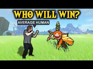 What Enemies Could an Average Human Defeat in TotK?