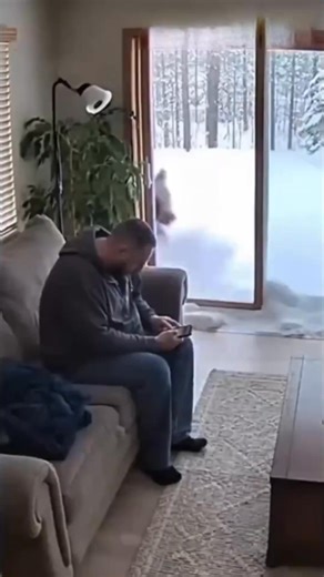 4 Animals That Turned on Their Owners | Animals Dose