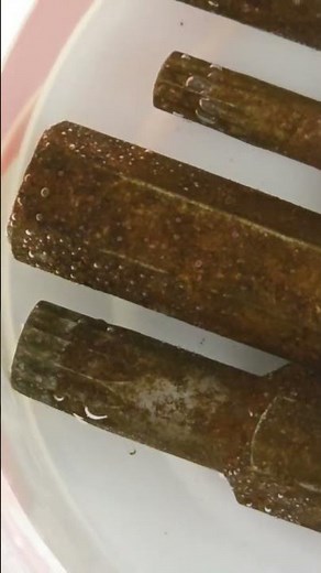 the salt & vinegar trick to clean rusty tools work better than expected