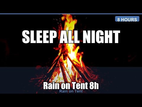 Rain on Tent All Night | Deep Sleep Camping Sounds | 8 Hours