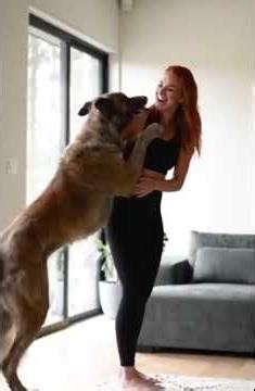 girl's love dogs 🐕🐕😍#shortsstory