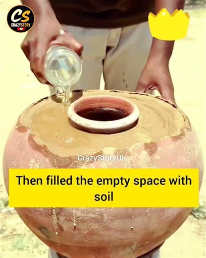 😮 Did You Know This Amazing Science Fact? #Shorts
