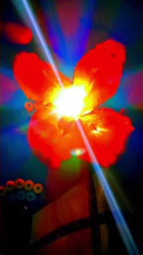 DIY LED Decoration Tree Making#ledidea #DIYLEDtree #LED light #decoration #light #light #craftideas